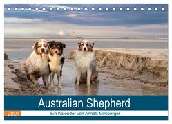 Australian Shepherd 2024 (Tischkalender 2024 DIN A5 quer), CALVENDO Monatskalender von Mirsberger,  Annett