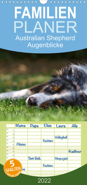 Australian Shepherd – Augenblicke – Familienplaner hoch (Wandkalender 2022 , 21 cm x 45 cm, hoch) von Andrey,  David