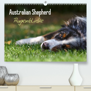 Australian Shepherd – Augenblicke (Premium, hochwertiger DIN A2 Wandkalender 2021, Kunstdruck in Hochglanz) von Andrey,  David