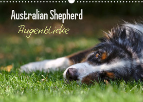 Australian Shepherd – Augenblicke (Wandkalender 2022 DIN A3 quer) von Andrey,  David