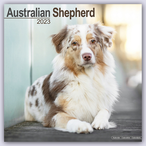 Australian Shepherd – Australische Schäferhunde 2023- 16-Monatskalender