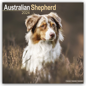 Australian Shepherd – Australische Schäferhunde 2024 – 16-Monatskalender