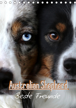 Australian Shepherd – Beste Freunde (Tischkalender 2021 DIN A5 hoch) von Youlia