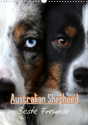 Australian Shepherd – Beste Freunde (Wandkalender 2021 DIN A3 hoch) von Youlia