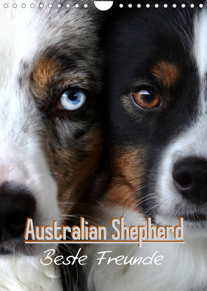 Australian Shepherd – Beste Freunde (Wandkalender 2023 DIN A4 hoch) von Youlia