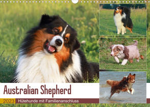 Australian Shepherd – Hütehunde mit Familienanschluss (Wandkalender 2023 DIN A3 quer) von Mielewczyk,  Barbara