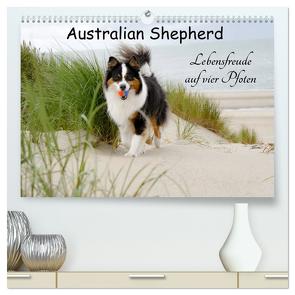 Australian Shepherd – Lebensfreude auf vier Pfoten (hochwertiger Premium Wandkalender 2024 DIN A2 quer), Kunstdruck in Hochglanz von Nozulak,  Miriam