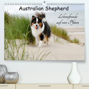 Australian Shepherd – Lebensfreude auf vier Pfoten (Premium, hochwertiger DIN A2 Wandkalender 2021, Kunstdruck in Hochglanz) von Nozulak,  Miriam