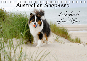 Australian Shepherd – Lebensfreude auf vier Pfoten (Tischkalender 2021 DIN A5 quer) von Nozulak,  Miriam