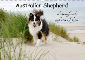 Australian Shepherd – Lebensfreude auf vier Pfoten (Wandkalender 2021 DIN A2 quer) von Nozulak,  Miriam