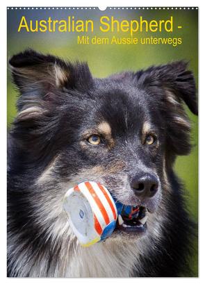 Australian Shepherd – Mit dem Aussie unterwegs (Wandkalender 2024 DIN A2 hoch), CALVENDO Monatskalender von Mayer Tierfotografie,  Andrea