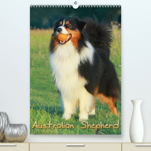 Australian Shepherd (Premium, hochwertiger DIN A2 Wandkalender 2023, Kunstdruck in Hochglanz) von Mielewczyk,  Barbara