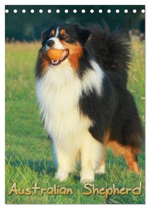 Australian Shepherd (Tischkalender 2024 DIN A5 hoch), CALVENDO Monatskalender von Mielewczyk,  Barbara