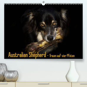 Australian Shepherd – Traum auf vier Pfoten (Premium, hochwertiger DIN A2 Wandkalender 2023, Kunstdruck in Hochglanz) von Mayer Tierfotografie,  Andrea