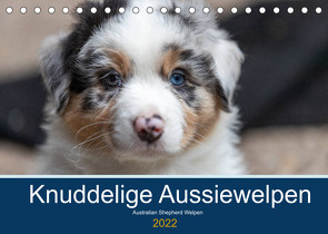 Australian Shepherd Welpen 2022 (Tischkalender 2022 DIN A5 quer) von Mirsberger www.annettmirsberger.de,  Annett