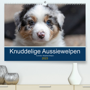 Australian Shepherd Welpen 2023 (Premium, hochwertiger DIN A2 Wandkalender 2023, Kunstdruck in Hochglanz) von Mirsberger www.annettmirsberger.de,  Annett