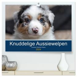 Australian Shepherd Welpen 2024 (hochwertiger Premium Wandkalender 2024 DIN A2 quer), Kunstdruck in Hochglanz von Mirsberger www.annettmirsberger.de,  Annett