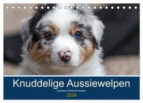 Australian Shepherd Welpen 2024 (Tischkalender 2024 DIN A5 quer), CALVENDO Monatskalender von Mirsberger www.annettmirsberger.de,  Annett