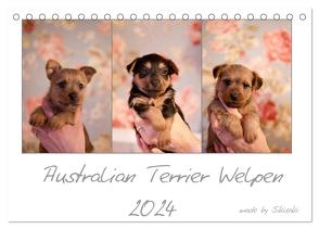 Australian Terrier Welpen (Tischkalender 2024 DIN A5 quer), CALVENDO Monatskalender von Tierfotografie,  Sikisaki