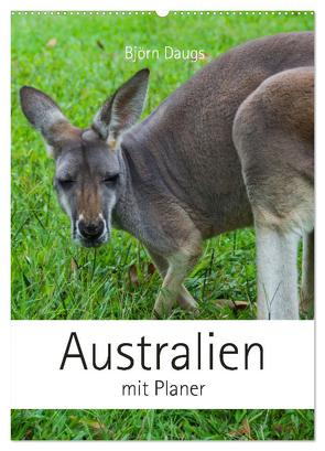 Australien mit Planer (Wandkalender 2024 DIN A2 hoch), CALVENDO Monatskalender von Daugs,  Björn