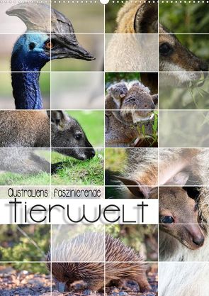 Australiens faszinierende Tierwelt (Premium, hochwertiger DIN A2 Wandkalender 2022, Kunstdruck in Hochglanz) von Utz,  Renate