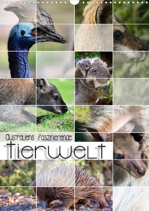 Australiens faszinierende Tierwelt (Wandkalender 2022 DIN A3 hoch) von Utz,  Renate