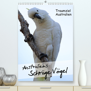 Australiens schräge Vögel 2023 (Premium, hochwertiger DIN A2 Wandkalender 2023, Kunstdruck in Hochglanz) von Kinderaktionär