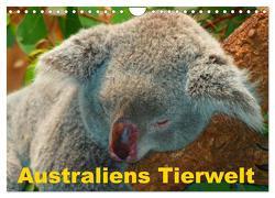 Australiens Tierwelt (Wandkalender 2024 DIN A4 quer), CALVENDO Monatskalender von Stanzer,  Elisabeth