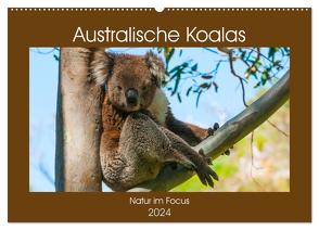 Australische Koalas (Wandkalender 2024 DIN A2 quer), CALVENDO Monatskalender von Smith,  Sidney