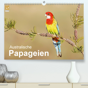 Australische Papageien (Premium, hochwertiger DIN A2 Wandkalender 2021, Kunstdruck in Hochglanz) von birdimagency,  BIA