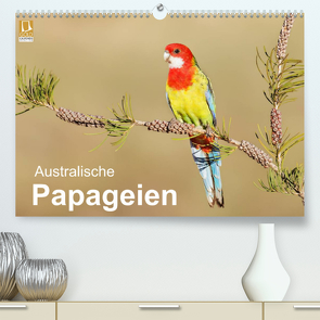 Australische Papageien (Premium, hochwertiger DIN A2 Wandkalender 2022, Kunstdruck in Hochglanz) von birdimagency,  BIA