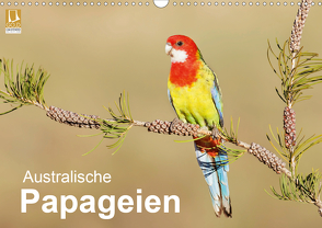 Australische Papageien (Wandkalender 2021 DIN A3 quer) von birdimagency,  BIA