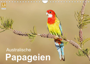 Australische Papageien (Wandkalender 2022 DIN A4 quer) von birdimagency,  BIA