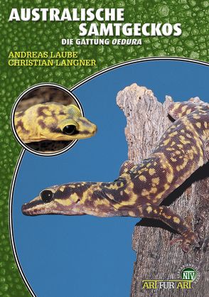 Australische Samtgeckos von Langner,  Christian, Laube,  Andreas