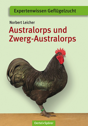 Australorps und Zwerg-Australorps von Leicher,  Norbert