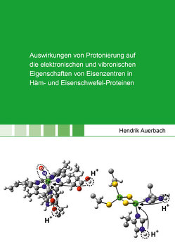 Auswirkungen von Protonierung auf die elektronischen und vibronischen Eigenschaften von Eisenzentren in Häm- und Eisenschwefel-Proteinen von Auerbach,  Hendrik