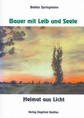 Autobiographie / Heimat aus Licht von Springmann,  Baldur