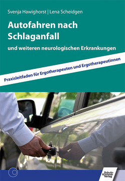 Autofahren nach Schlaganfall von Hawighorst,  Svenja, Scheidgen,  Lena