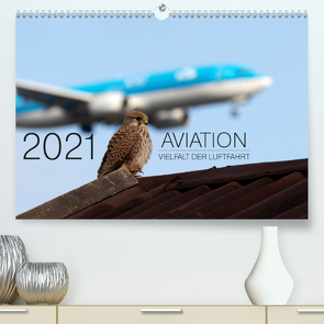 Aviation 2021 – Vielfalt der Luftfahrt (Premium, hochwertiger DIN A2 Wandkalender 2021, Kunstdruck in Hochglanz) von Babl,  Moritz