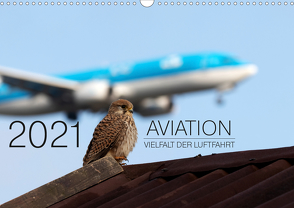 Aviation 2021 – Vielfalt der Luftfahrt (Wandkalender 2021 DIN A3 quer) von Babl,  Moritz