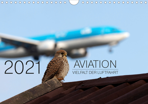 Aviation 2021 – Vielfalt der Luftfahrt (Wandkalender 2021 DIN A4 quer) von Babl,  Moritz