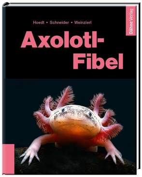 Axolotl-Fibel von Hoedt,  Werner, Schneider,  Maite, Weinzierl,  Friederike