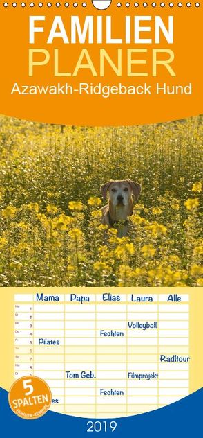 Azawakh-Ridgeback Hund – Familienplaner hoch (Wandkalender 2019 , 21 cm x 45 cm, hoch) von Bölts,  Meike
