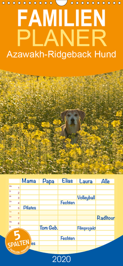 Azawakh-Ridgeback Hund – Familienplaner hoch (Wandkalender 2020 , 21 cm x 45 cm, hoch) von Bölts,  Meike
