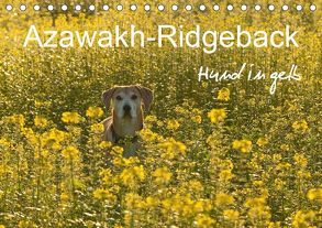 Azawakh-Ridgeback Hund in gelb (Tischkalender 2019 DIN A5 quer) von Bölts,  Meike