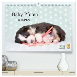 Baby Pfoten (hochwertiger Premium Wandkalender 2024 DIN A2 quer), Kunstdruck in Hochglanz von Eckelt,  Natalie