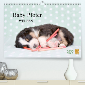 Baby Pfoten (Premium, hochwertiger DIN A2 Wandkalender 2022, Kunstdruck in Hochglanz) von Eckelt,  Natalie