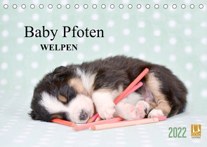 Baby Pfoten (Tischkalender 2022 DIN A5 quer) von Eckelt,  Natalie