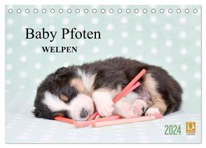 Baby Pfoten (Tischkalender 2024 DIN A5 quer), CALVENDO Monatskalender von Eckelt,  Natalie