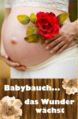 Babybauch…das Wunder wächst von Paulsen,  Laura